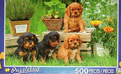 Puzzle cavalier king charles
