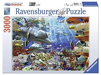 Puzzle ravensburger 3000