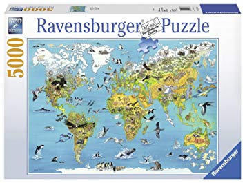 Puzzle 5000 pieces et plus