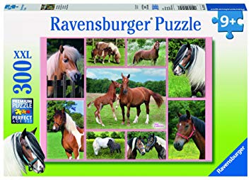 Puzzle 300 pièces en ligne