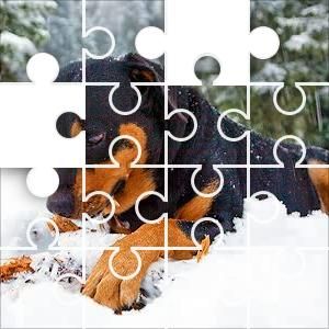 Puzzle casse tête gratuit en ligne