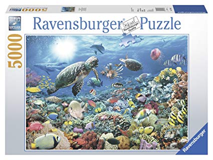 5000 piece jigsaw puzzle