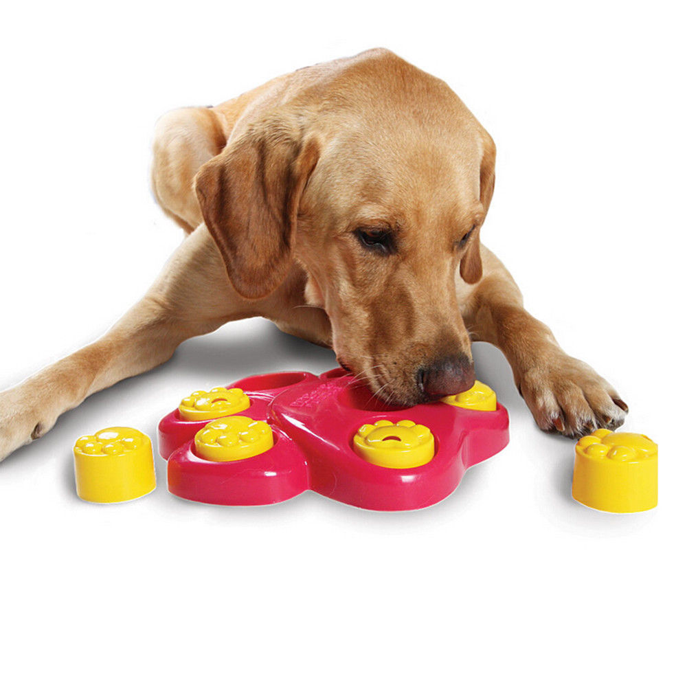 Puzzle pour chien