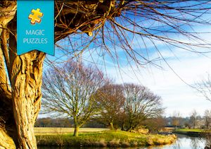 Puzzle magique zymad