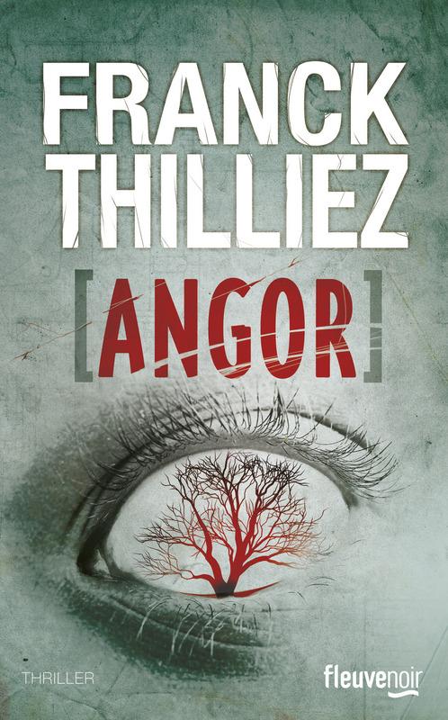 Puzzle franck thilliez explication