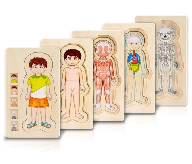 Body puzzle