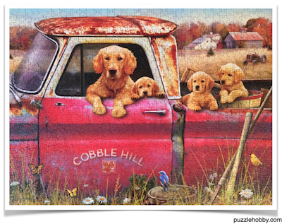 Jigsaw puzzle gallery