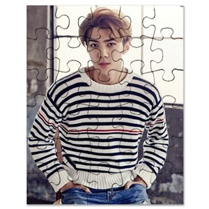 Exo puzzle