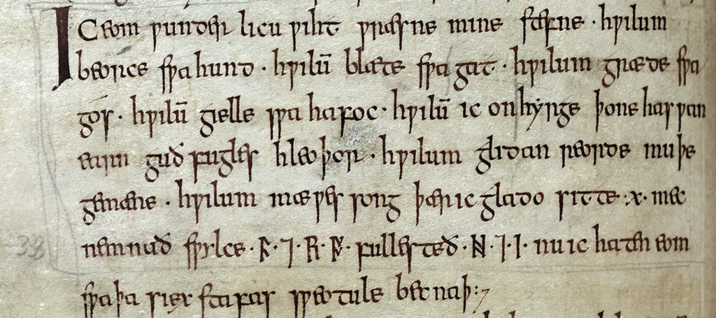 Texte puzzle cycle 3