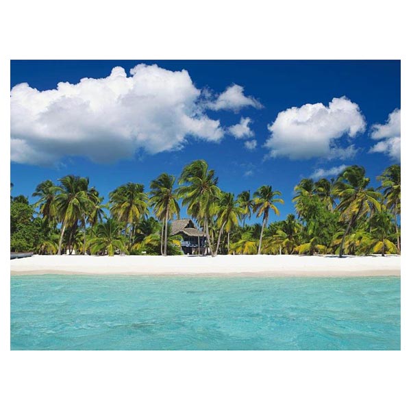 Jouet club puzzle adulte