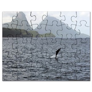 Gros puzzle