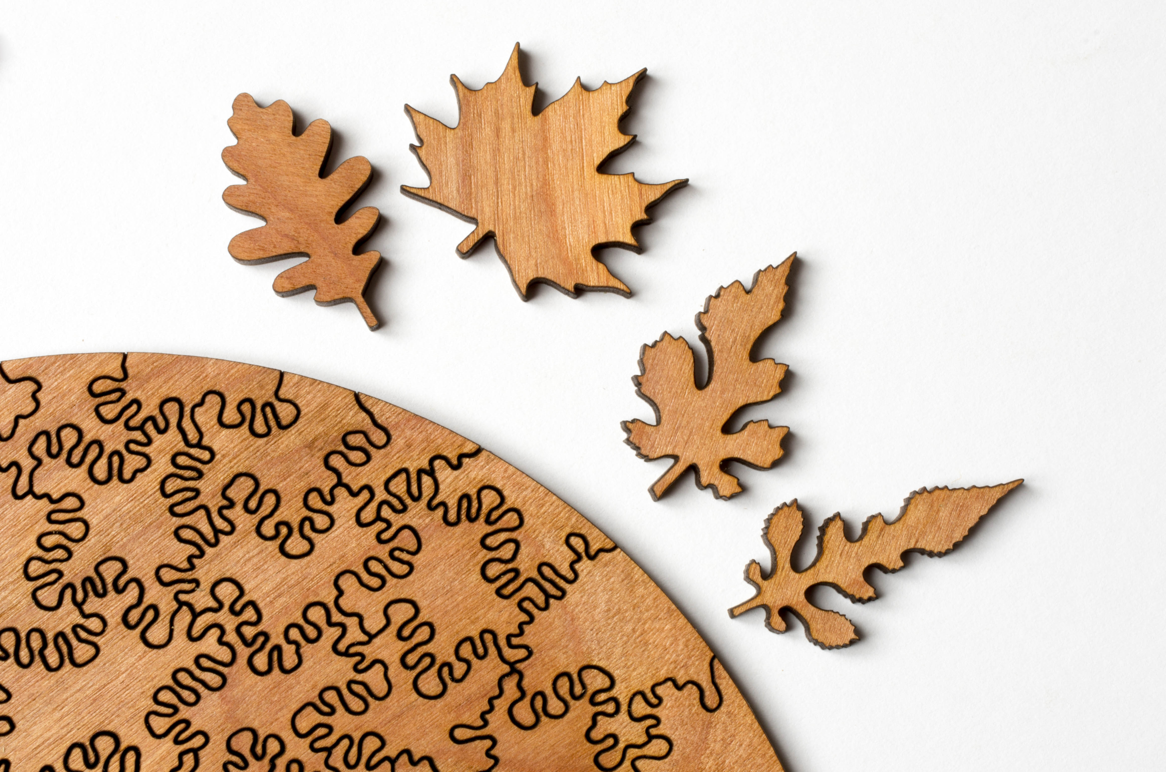 Make a jigsaw puzzle