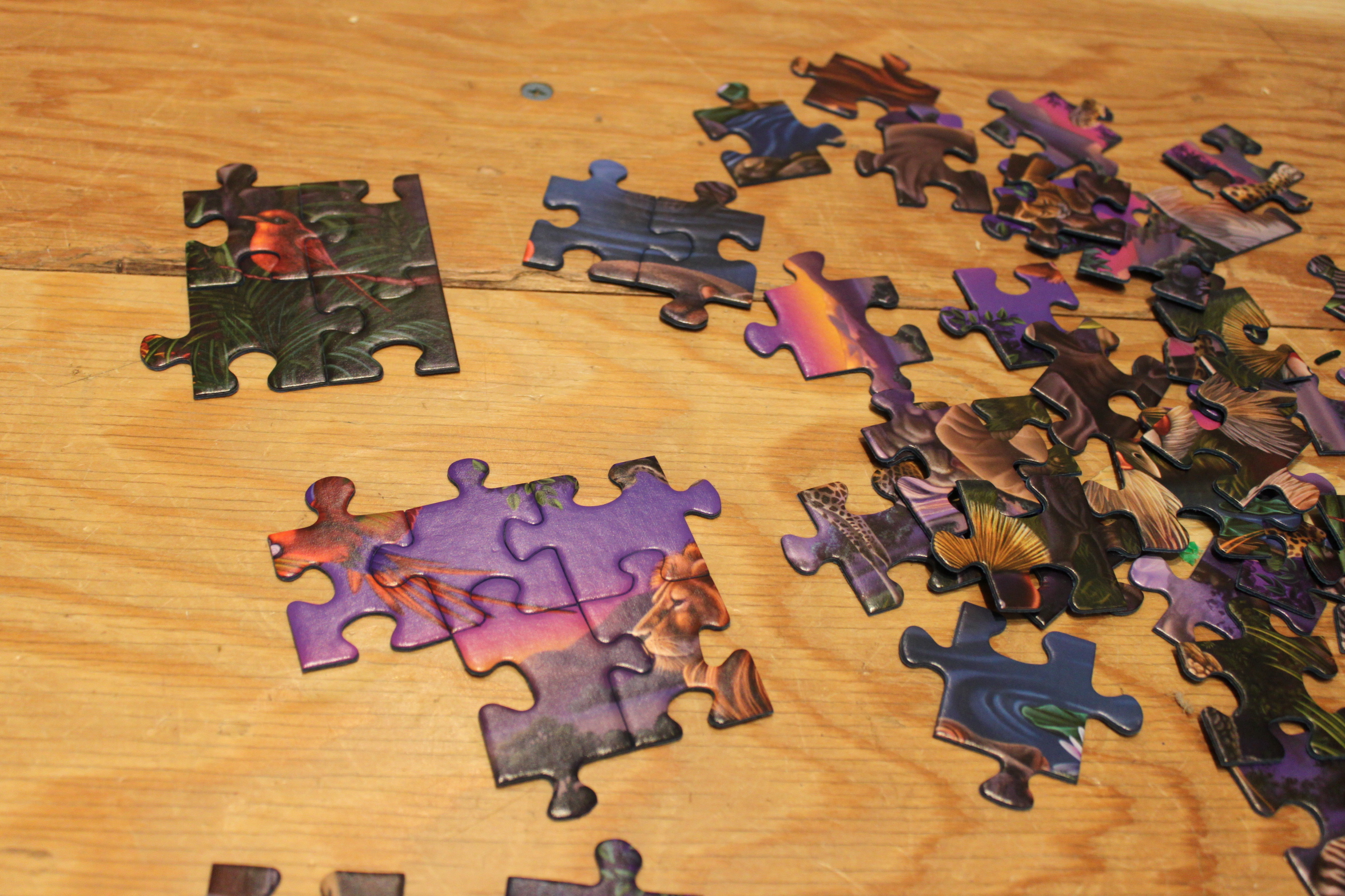 Puzzle divers