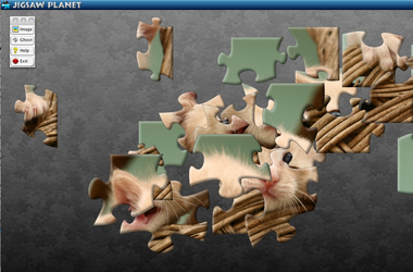 Puzzle frida kahlo