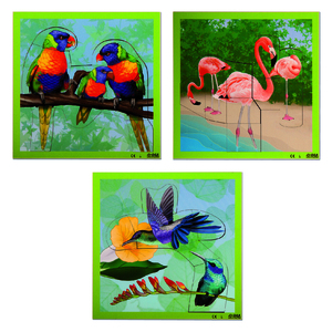 Puzzle oiseaux exotiques