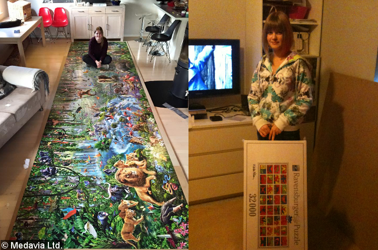 Jigsaw puzzle collection