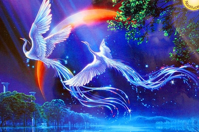 Puzzle fluorescent collection