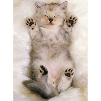 Puzzle de chaton