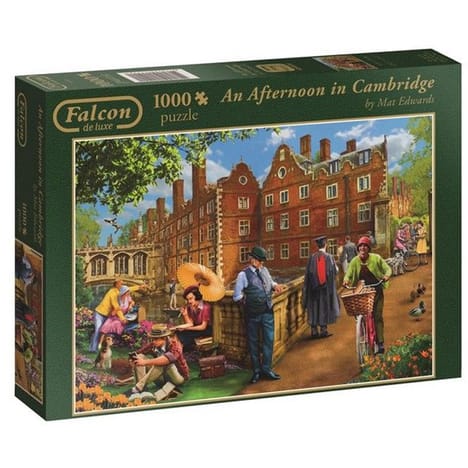Puzzle 1000 pièces pas cher