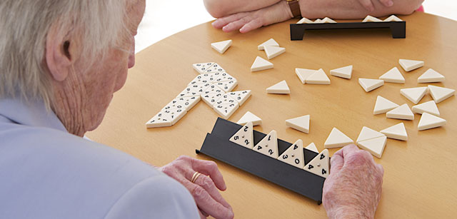 Jeux de société logiques adultes