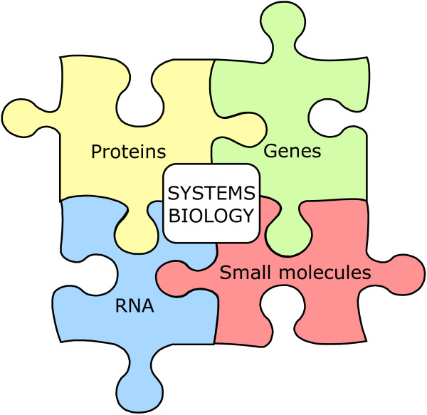 Puzzle sciences