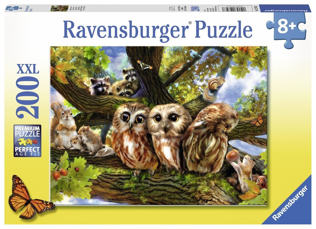 Puzzle 200