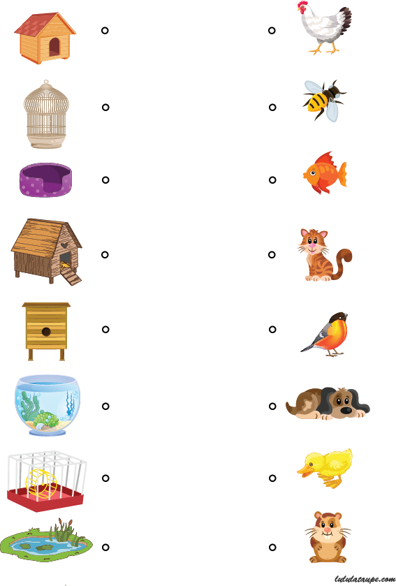 Puzzle gratuit 5 ans