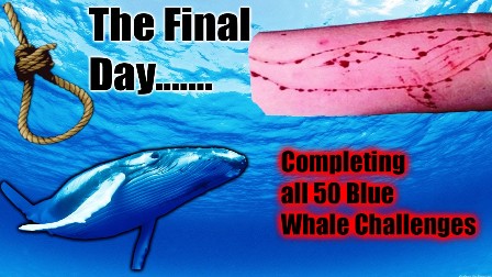 Jeux de société de la baleine