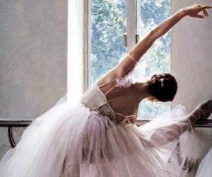 Puzzle ballerine
