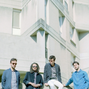 Bb brunes puzzle uptobox