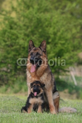Magic cube puzzle