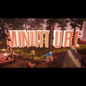 Miniature: the story puzzle