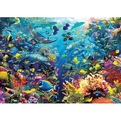 Puzzle 9000 pieces