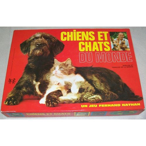 Jeux de société avec un chat