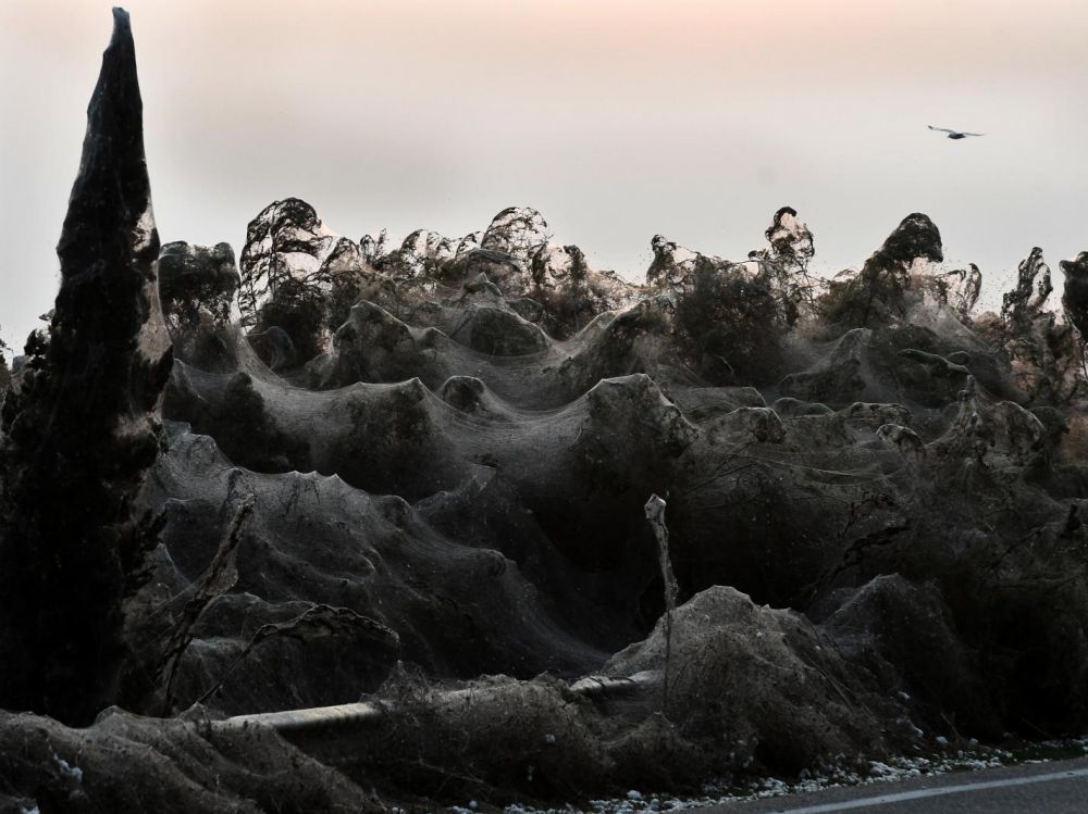 La terre puzzle ou toile d araignée