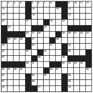 The crossword puzzle