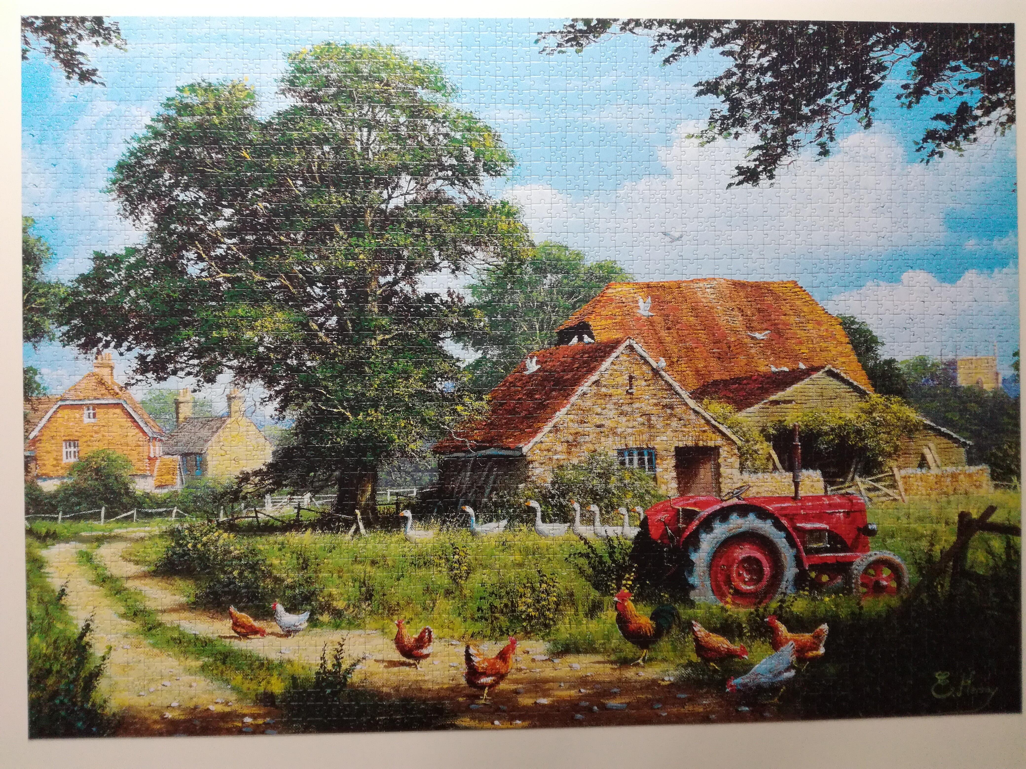 Puzzle 3000 piece