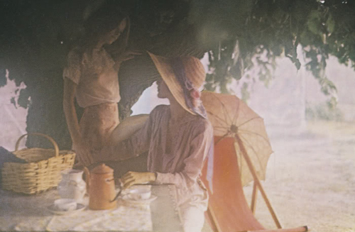 David hamilton puzzle