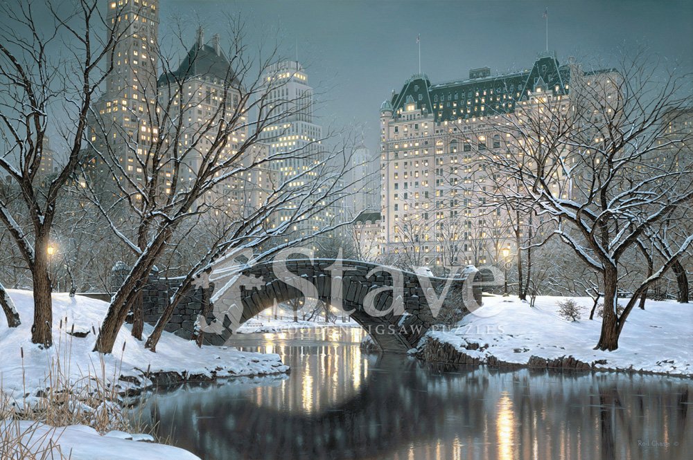 Puzzle central park
