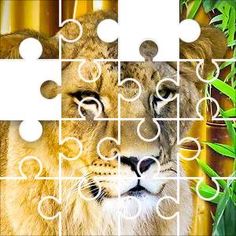Casse tete quotidien puzzle