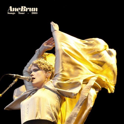 Ane brun the puzzle