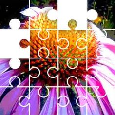 Puzzle gratuit jigzone