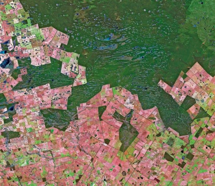 Puzzle yann arthus bertrand