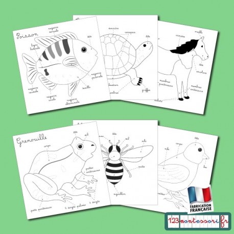 Puzzle oiseau montessori