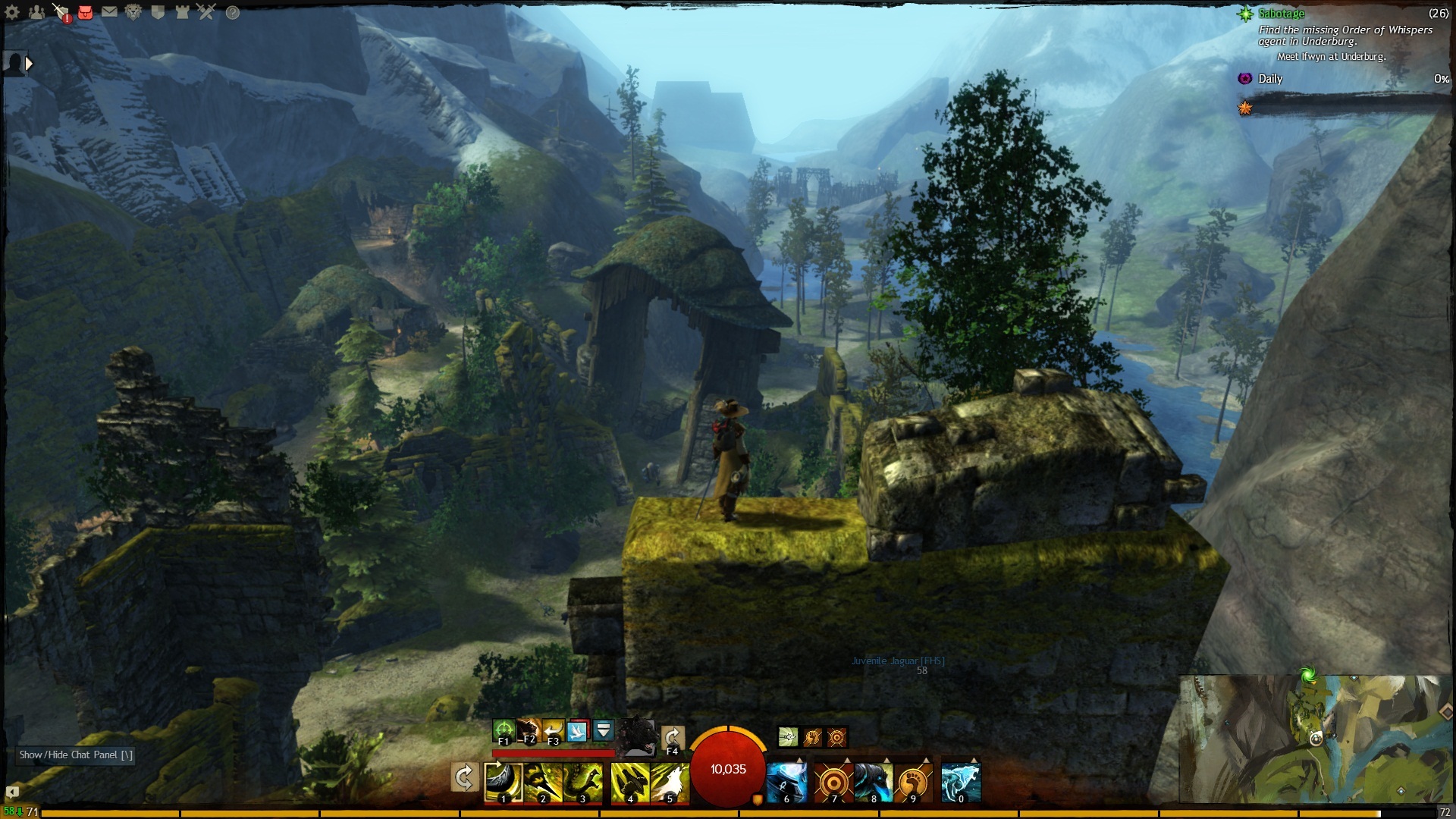 Puzzle gw2