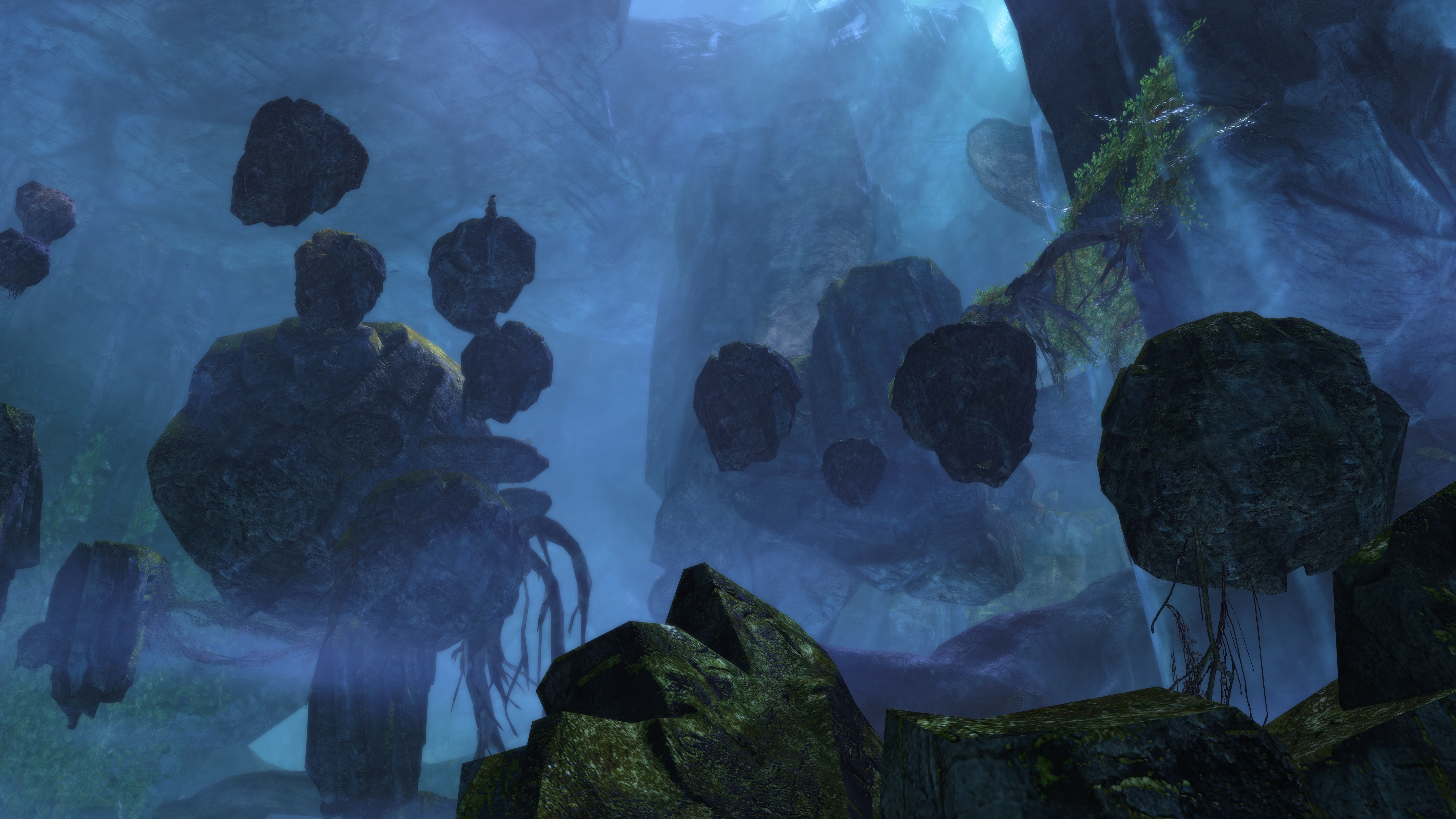 Guild wars 2 puzzle jump gouffre du charognard