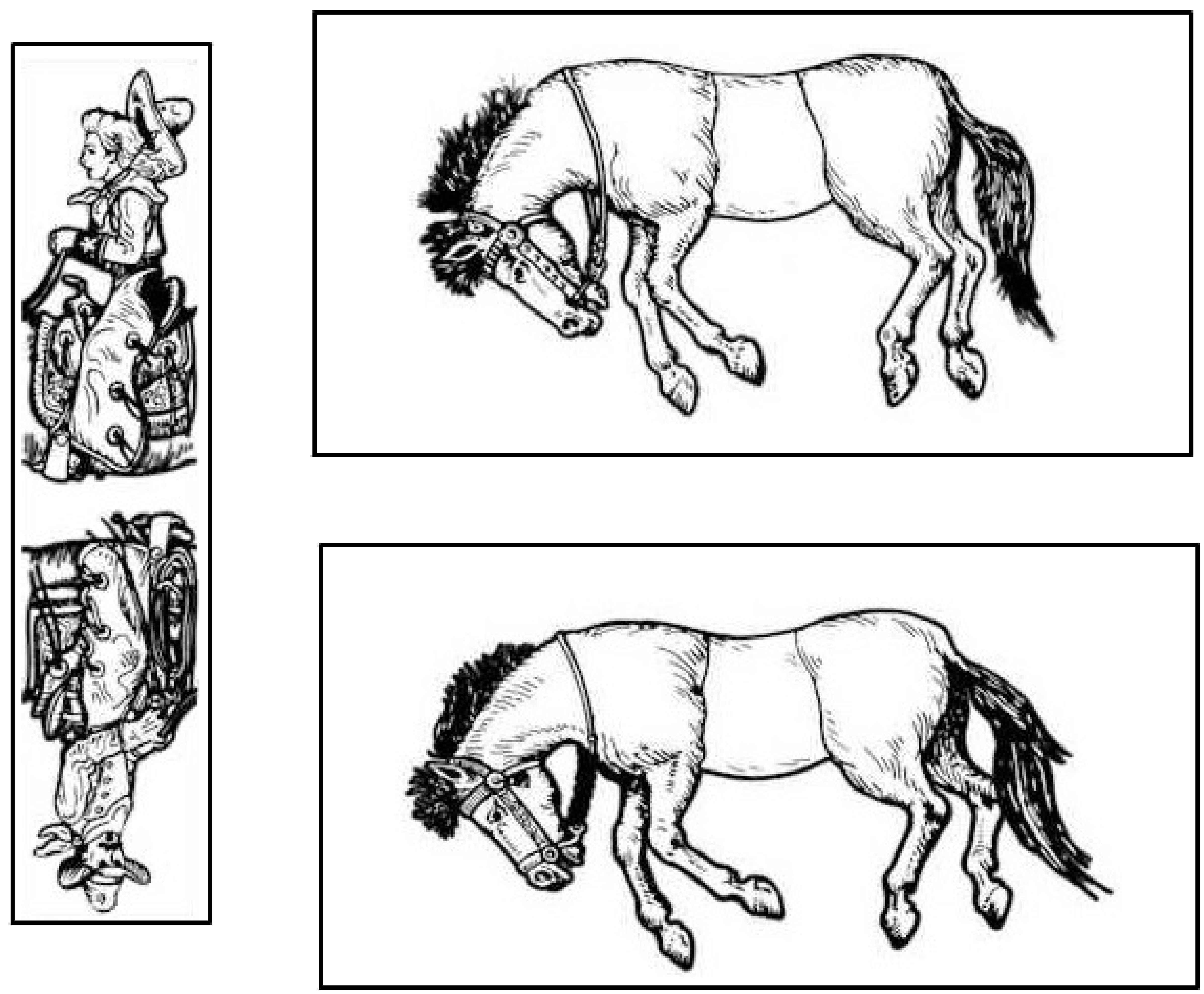 Horse puzzle