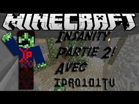 Map minecraft puzzle fr