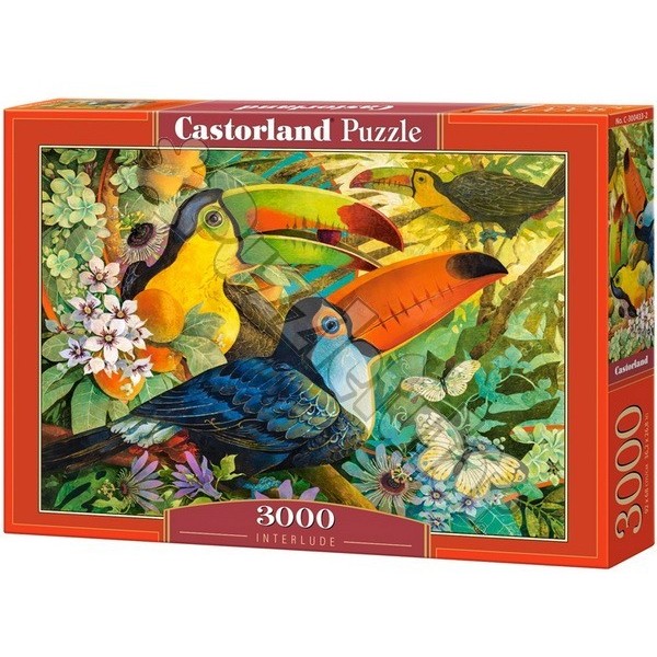 David galchutt puzzle