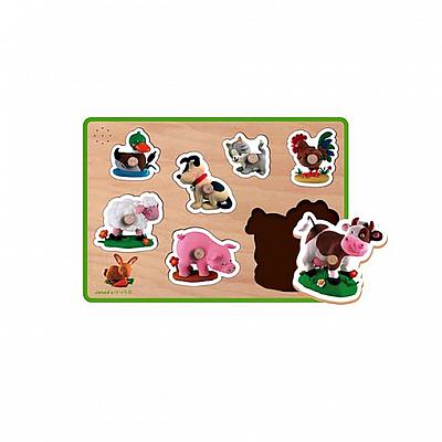 Puzzle fleurus